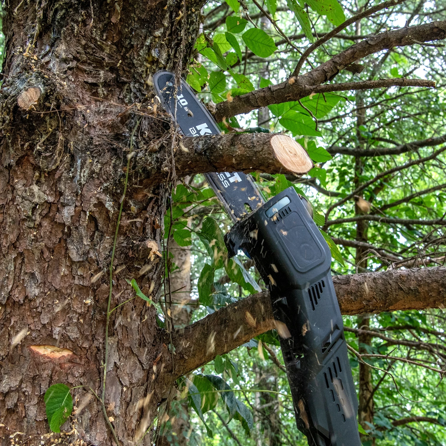 Kobalt Cordless Electric Pole Saws 80-Volt 10-in Cordless Electric Pole Saw (Battery Not Included) 9 Kobalt Cordless Electric Pole Saws 80-Volt 10-in Cordless Electric Pole Saw (Battery Not Included) - Image 9